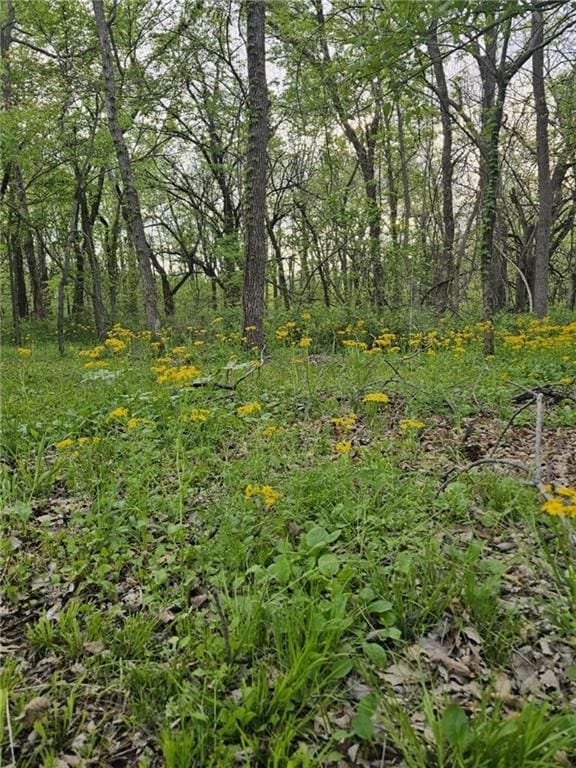 305 E Sugar Lake Dr, Mound City, KS 66055