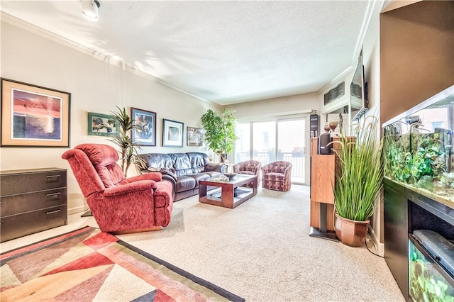 4949 Wornall Rd Unit 203, Kansas City, MO 64112 - carpeted living room with a textured ceiling and crown molding