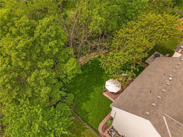 aerial view