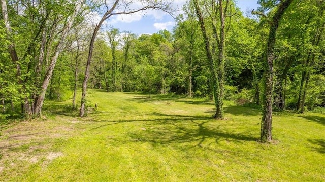view of woods