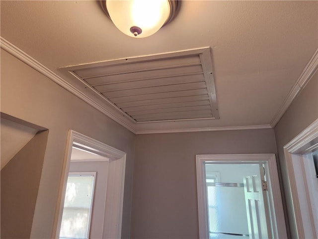 detailed view of crown molding