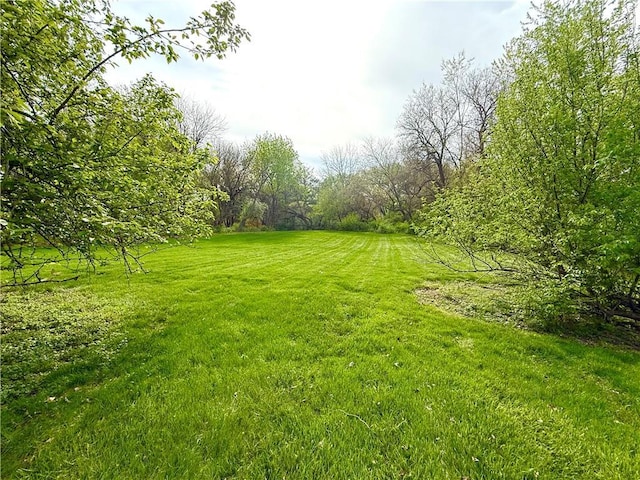 1420 N Mulberry St, Maryville, MO 64468 - view of grassy yard