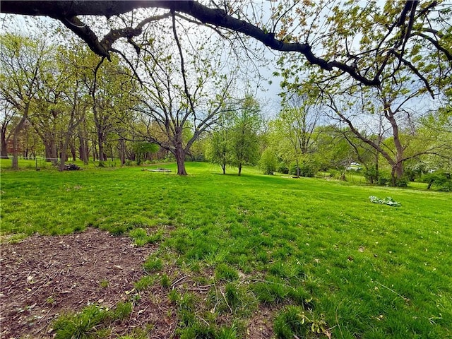 1420 N Mulberry St, Maryville, MO 64468 - view of grassy yard