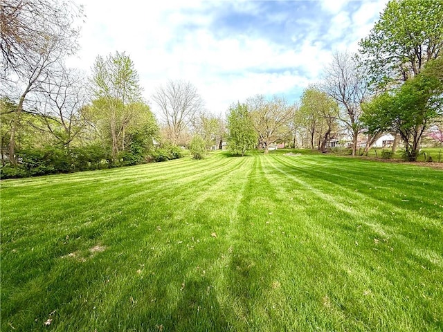 1420 N Mulberry St, Maryville, MO 64468 - view of grassy yard