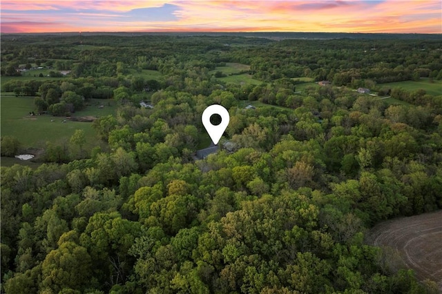 11155 Hubbard Rd, Kansas City, KS 66109 - aerial view of a heavily wooded area
