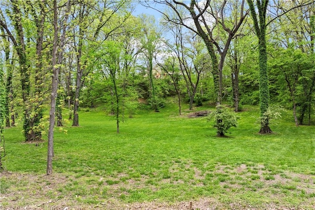 11155 Hubbard Rd, Kansas City, KS 66109 - view of grassy yard