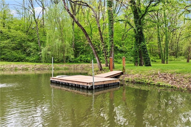 11155 Hubbard Rd, Kansas City, KS 66109 - dock area with a water view and a view of trees