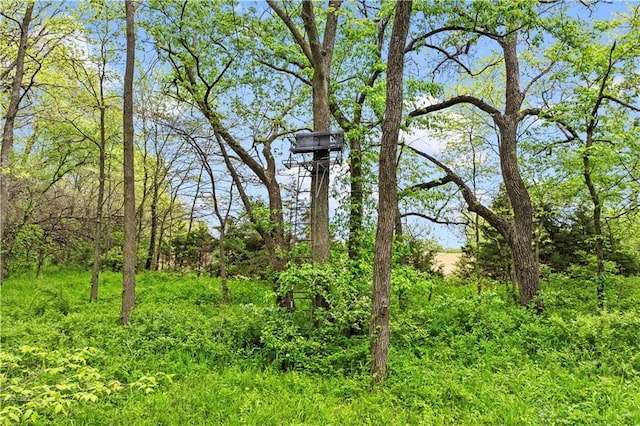 11155 Hubbard Rd, Kansas City, KS 66109 - view of undeveloped land