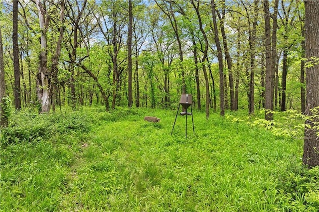 11155 Hubbard Rd, Kansas City, KS 66109 - view of yard featuring a view of trees