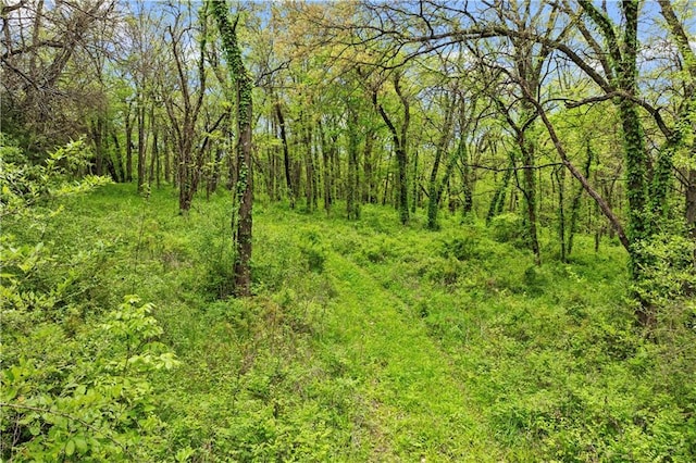 11155 Hubbard Rd, Kansas City, KS 66109 - view of tree filled area