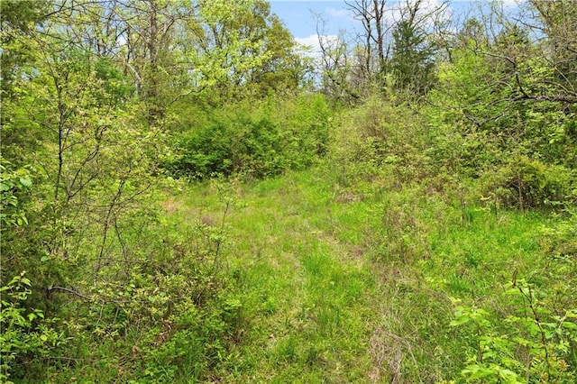 11155 Hubbard Rd, Kansas City, KS 66109 - view of tree filled area