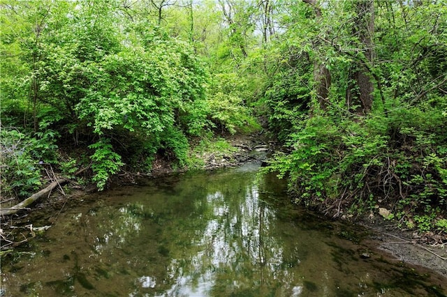 11155 Hubbard Rd, Kansas City, KS 66109 - water view