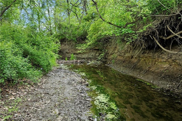 11155 Hubbard Rd, Kansas City, KS 66109 - view of undeveloped land