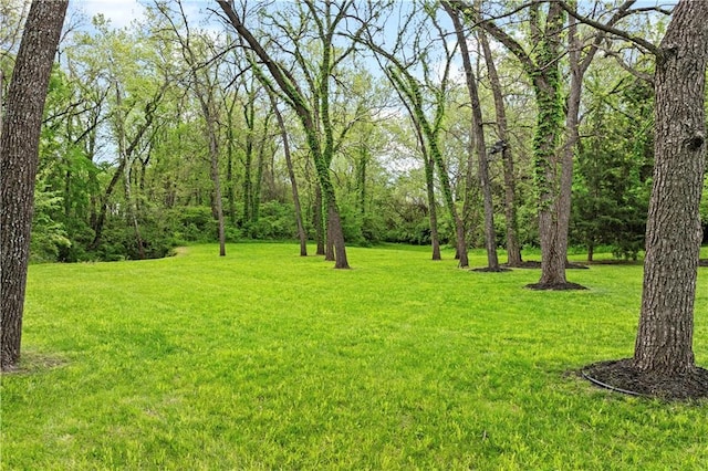 11155 Hubbard Rd, Kansas City, KS 66109 - view of grassy yard