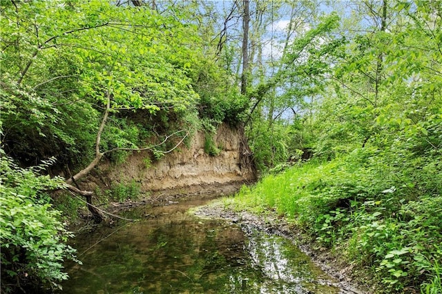 11155 Hubbard Rd, Kansas City, KS 66109 - view of wooded area