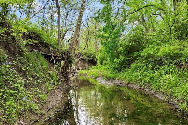 11155 Hubbard Rd, Kansas City, KS 66109 - view of local wilderness