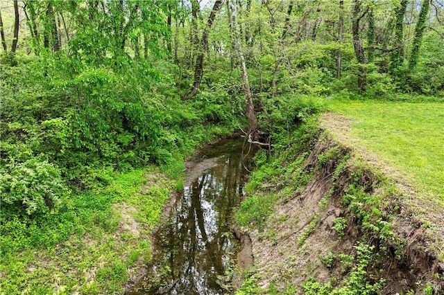 11155 Hubbard Rd, Kansas City, KS 66109 - view of local wilderness