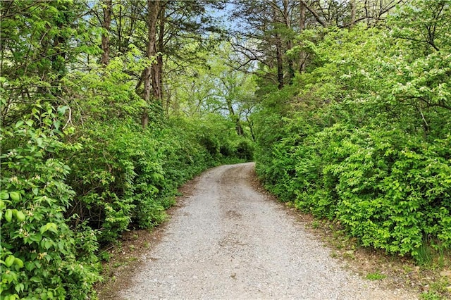 11155 Hubbard Rd, Kansas City, KS 66109 - view of road featuring a wooded view