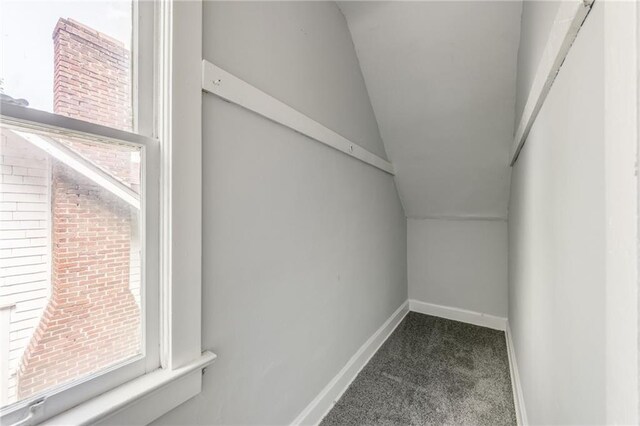 2219 E Meyer Blvd, Kansas City, MO 64132 - walk in closet featuring carpet and lofted ceiling