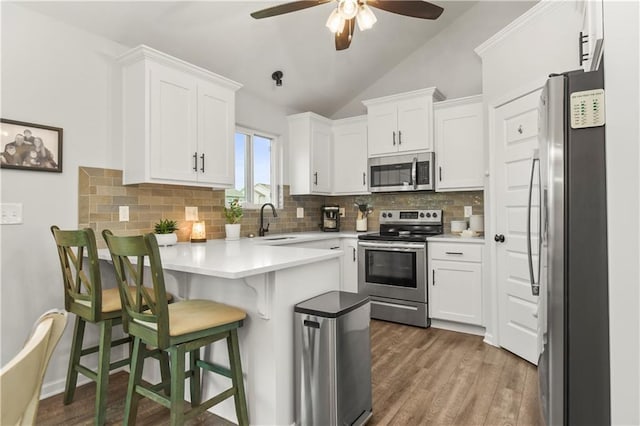 kitchen with a ceiling fan, a sink, a peninsula, vaulted ceiling, and appliances with stainless steel finishes