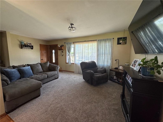 166 Crescent Dr, Chillicothe, MO 64601 - living area with carpet flooring