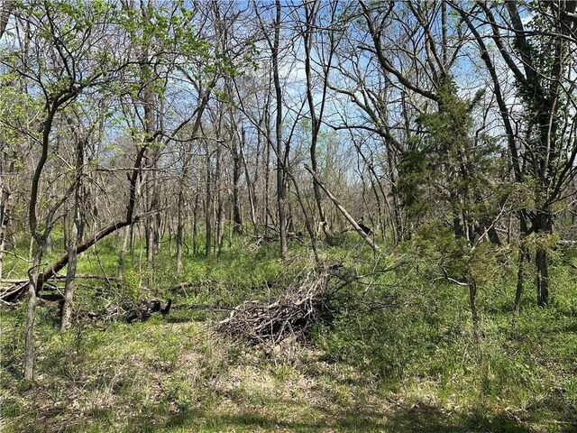 704 SE 30th St, Oak Grove, MO 64075 - photo 10