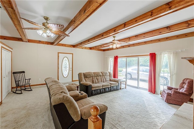 704 SE 30th St, Oak Grove, MO 64075 - photo 29