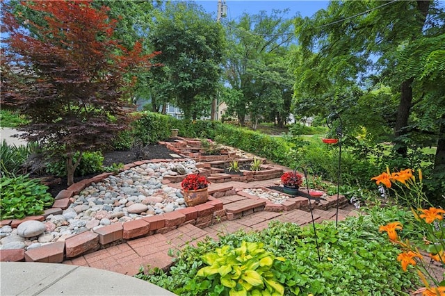 4710 Monrovia St, Shawnee, KS 66216 - view of yard