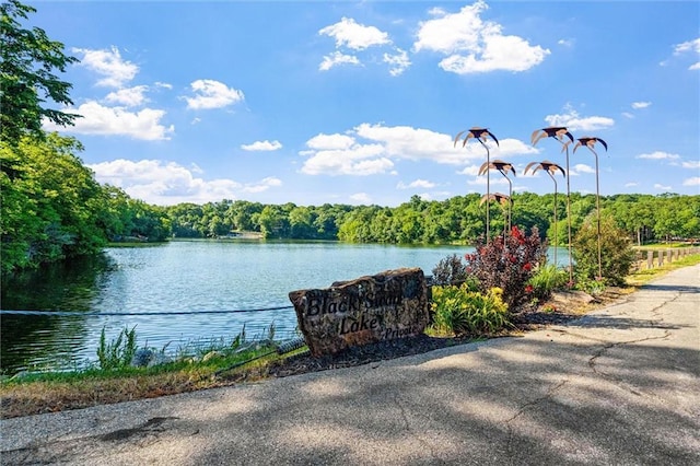 4710 Monrovia St, Shawnee, KS 66216 - water view featuring a heavily wooded area