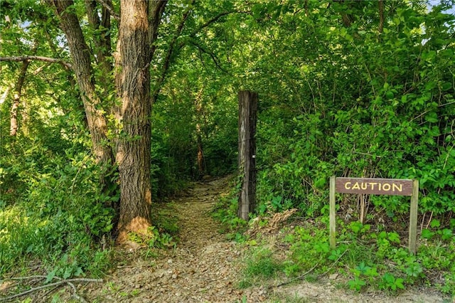4710 Monrovia St, Shawnee, KS 66216 - view of wooded area