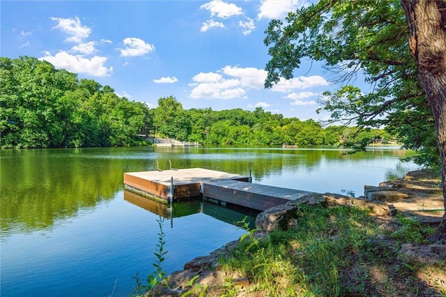 4710 Monrovia St, Shawnee, KS 66216 - dock with a water view and a forest view