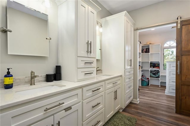 4353 NW State Route Ff, Adrian, MO 64720 - full bath featuring a spacious closet, wood finished floors, a sink, and double vanity