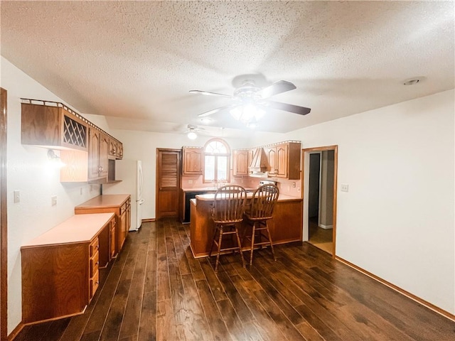 628 S Clay St, Nevada, MO 64772 - kitchen with ceiling fan, a peninsula, a textured ceiling, and dark wood-type flooring