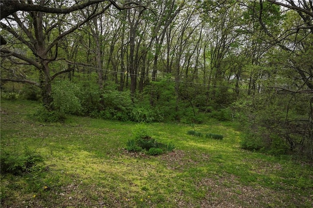 view of local wilderness with a view of trees