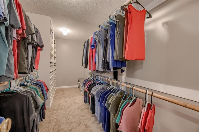 18716 W 164th Ter, Olathe, KS 66062 - walk in closet with light colored carpet