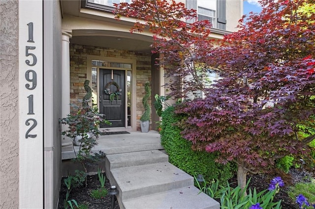 view of exterior entry featuring stone siding and a porch