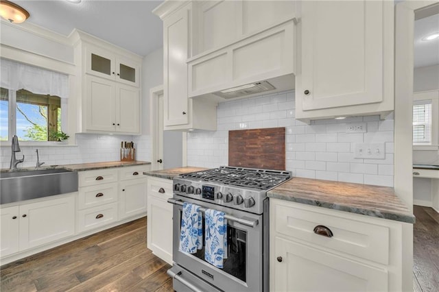 12765 N Imperial Dr, Platte City, MO 64079 - kitchen with stainless steel gas range oven, a sink, dark wood-style floors, and white cabinets