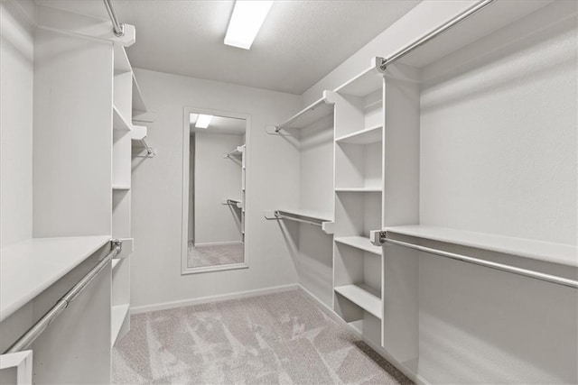 spacious closet featuring carpet