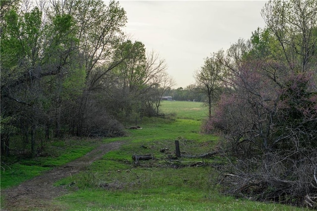 6721 Read Rd, Pleasanton, KS 66075 - view of yard