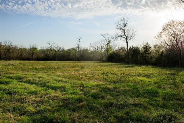 6721 Read Rd, Pleasanton, KS 66075 - view of yard featuring a rural view and a view of trees