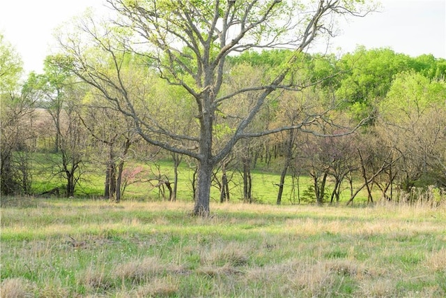 6721 Read Rd, Pleasanton, KS 66075 - view of wooded area