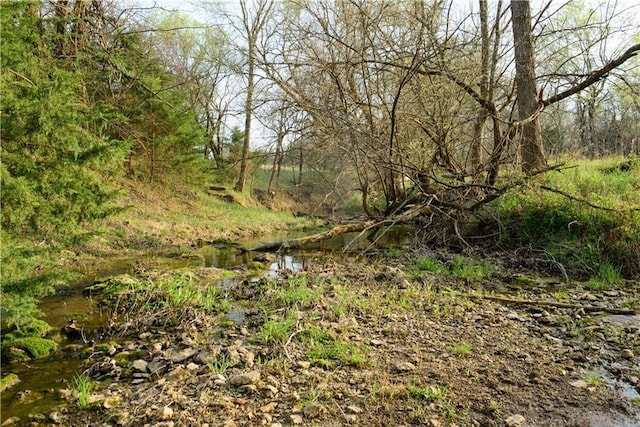6721 Read Rd, Pleasanton, KS 66075 - view of nature