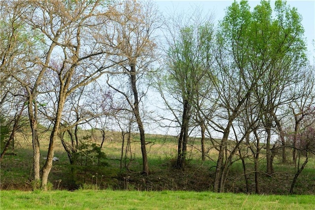 6721 Read Rd, Pleasanton, KS 66075 - view of yard