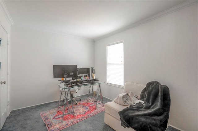 home office featuring baseboards, crown molding, and carpet