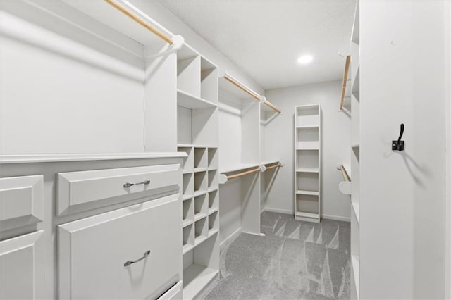 14175 W 149th Ter, Olathe, KS 66062 - spacious closet featuring carpet
