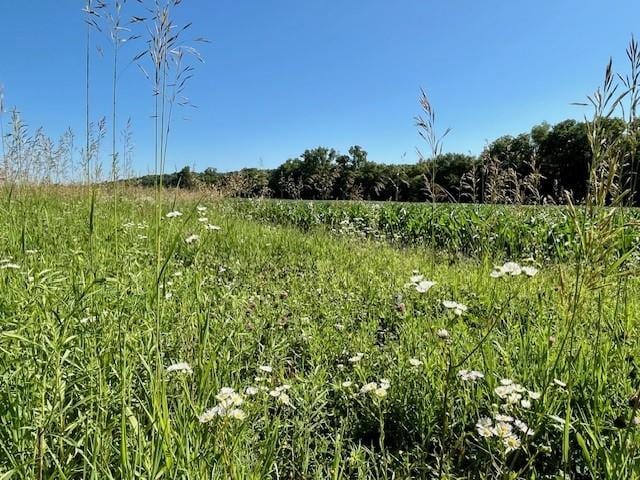 10.66ACRESM/L N 800th Rd, Baldwin City, KS 66006
