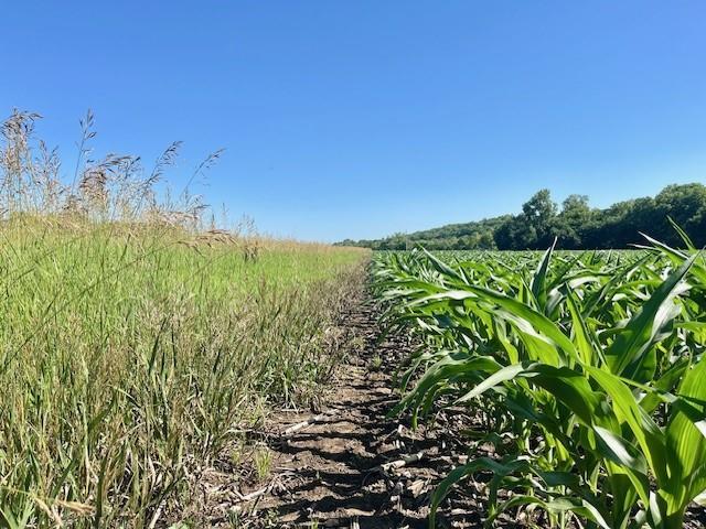 10.66ACRESM/L N 800th Rd, Baldwin City, KS 66006