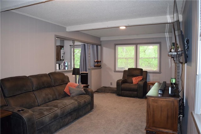 living area with carpet, ornamental molding, and a textured ceiling