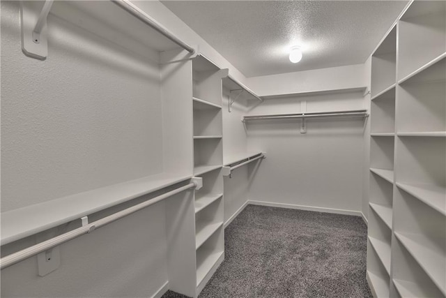 spacious closet featuring dark colored carpet