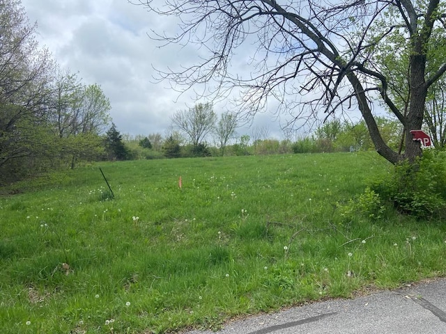 16380 Joy Dr, Lawson, MO 64062 - photo 3